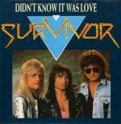 Survivor : Didn't Know It Was Love